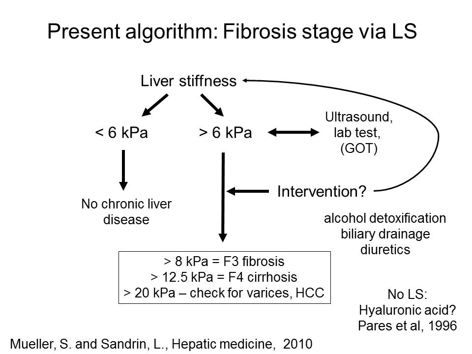 Liver stiffness scheme
