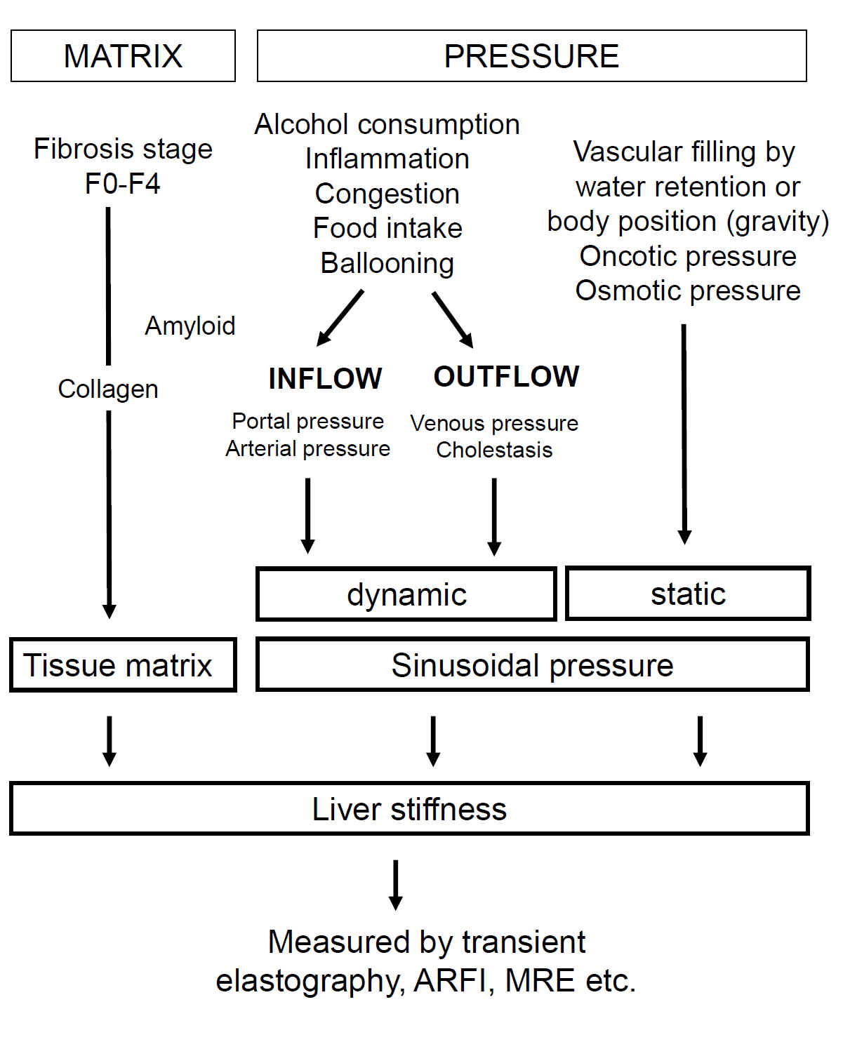 Clinical conditions influencing liver stiffness